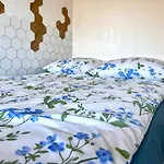 Biokompas شقة